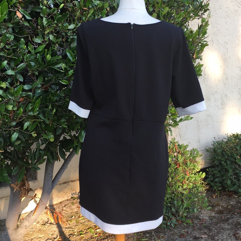 Clearance Sale: Sky Plus Asymmetrical Dress - Picture 3 of 3